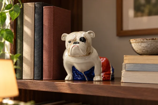 AI styling illustration of M’s Jack the Bulldog on a walnut office shelf